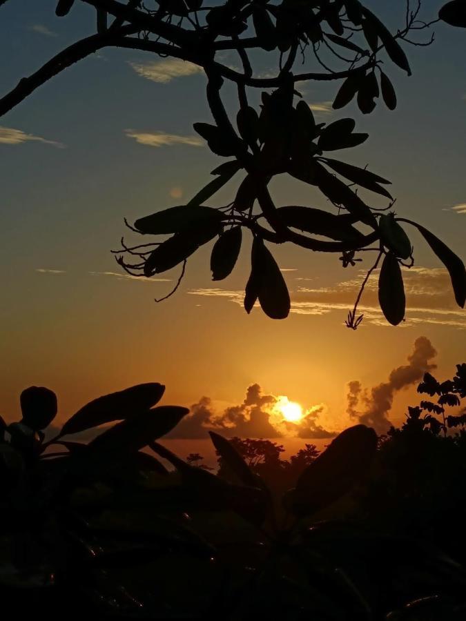 Finca Los Caballos Montezuma Εξωτερικό φωτογραφία