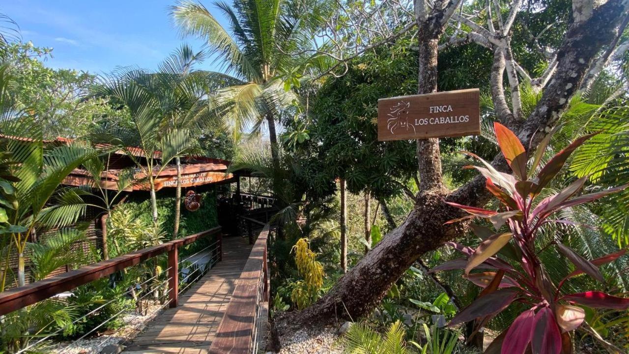 Finca Los Caballos Montezuma Εξωτερικό φωτογραφία